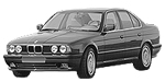 BMW E34 P3060 Fault Code